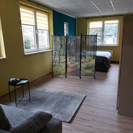 Zur Alten Werkstatt Schwarzenberg  Extérieur photo